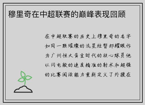 穆里奇在中超联赛的巅峰表现回顾
