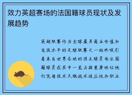 效力英超赛场的法国籍球员现状及发展趋势